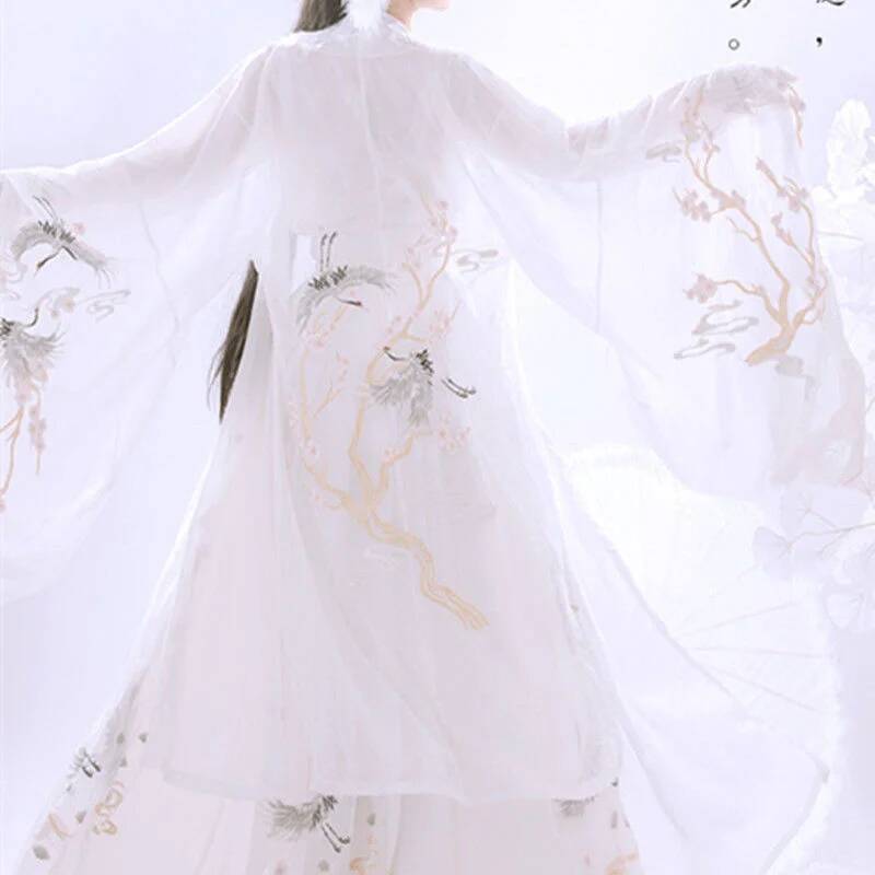Cinese antico Hanfu Industria  - Embroidery Cotton Shirt recensione e prezzo