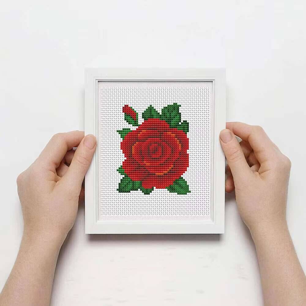 Huacan MINI Punto Croce Fiore  - Embroidery Rose Stitch recensione e prezzo
