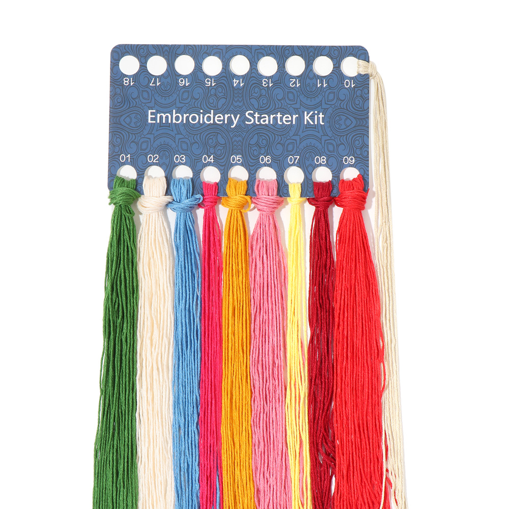 1Set Kit da ricamo fai-da-te c - Embroidery Pashmina recensione e prezzo