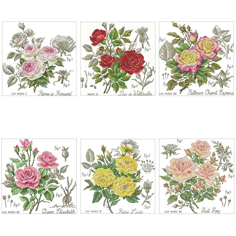 Modelli di rosa ombra contati  - Embroidery Rose Stitch recensione e prezzo